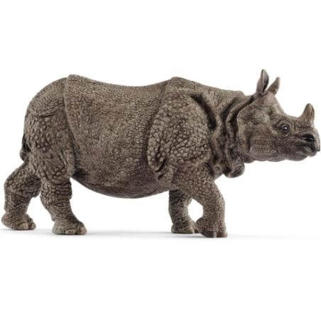 Rhinocéros indien