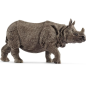 Rhinocéros indien