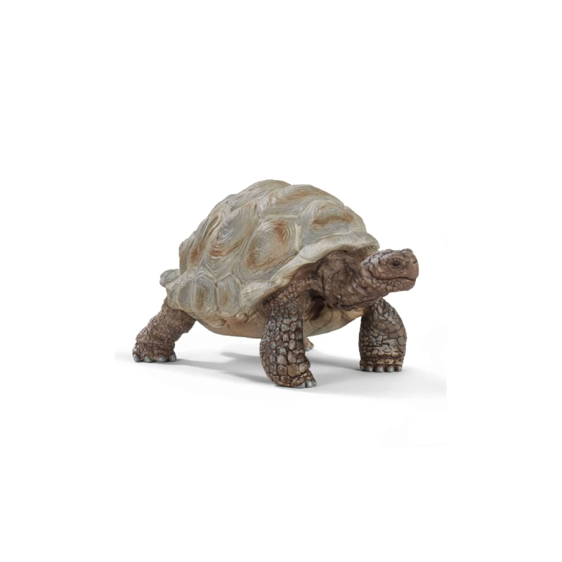 Tortue géante