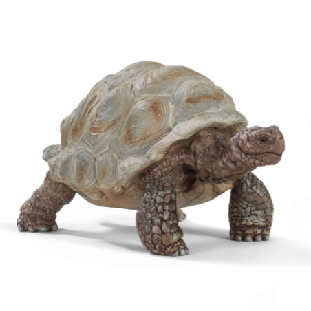 Tortue géante