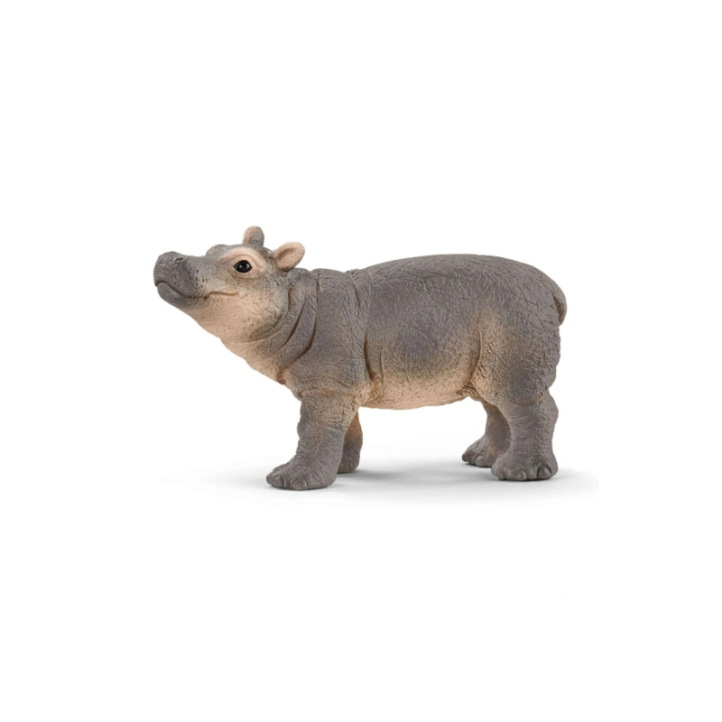 Bébé hippopotame