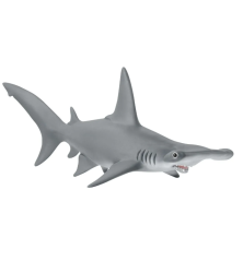 Requin marteau