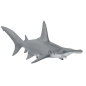 Requin marteau
