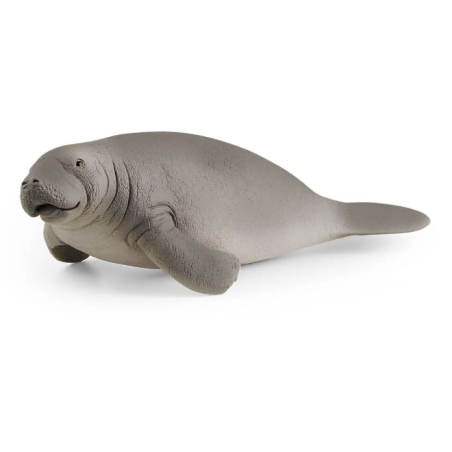 Lamantin