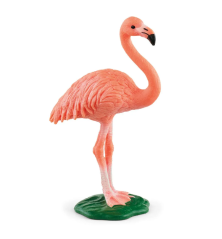 Flamant rose