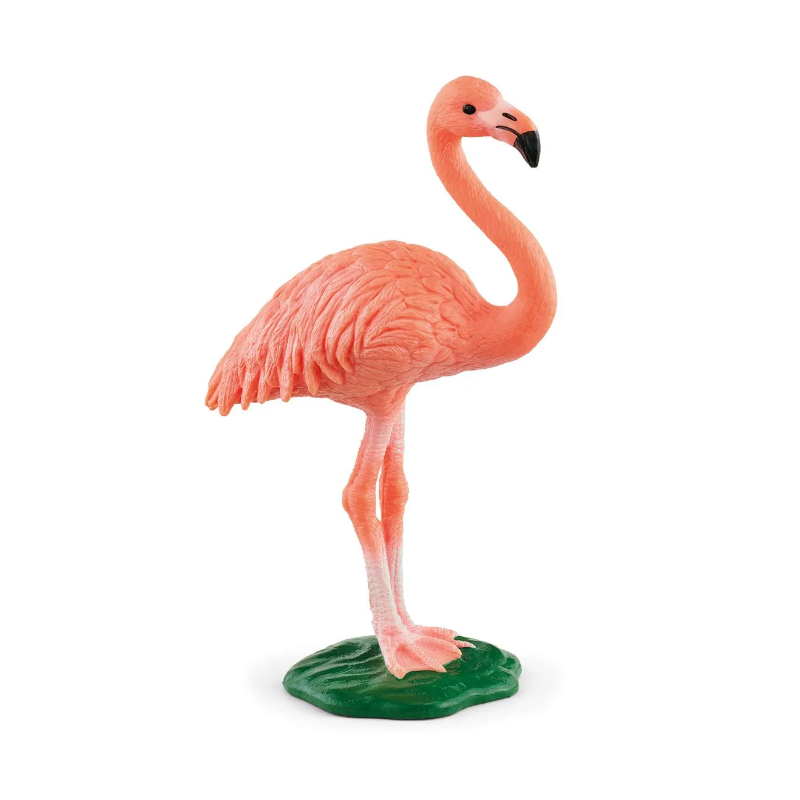 Flamant rose