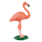 Flamant rose