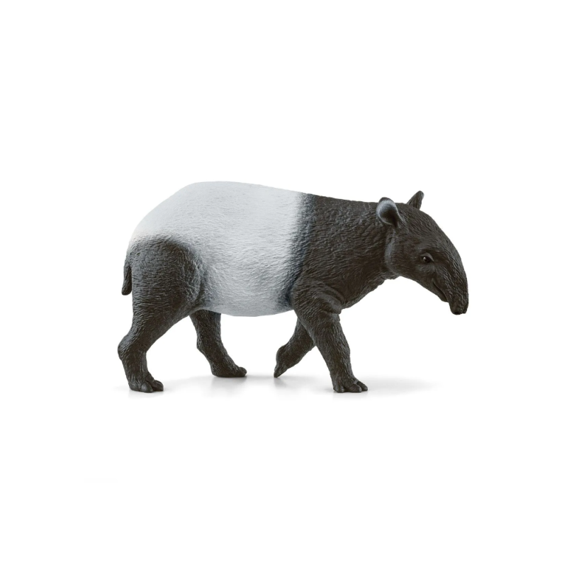 Tapir