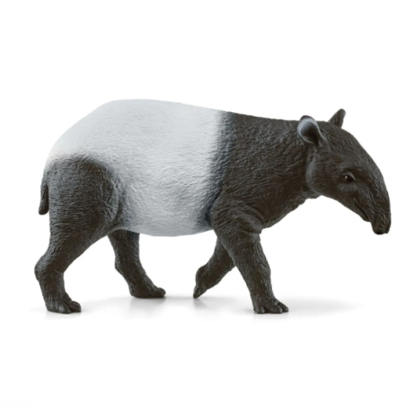 Tapir