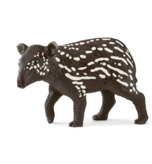 Jeune tapir