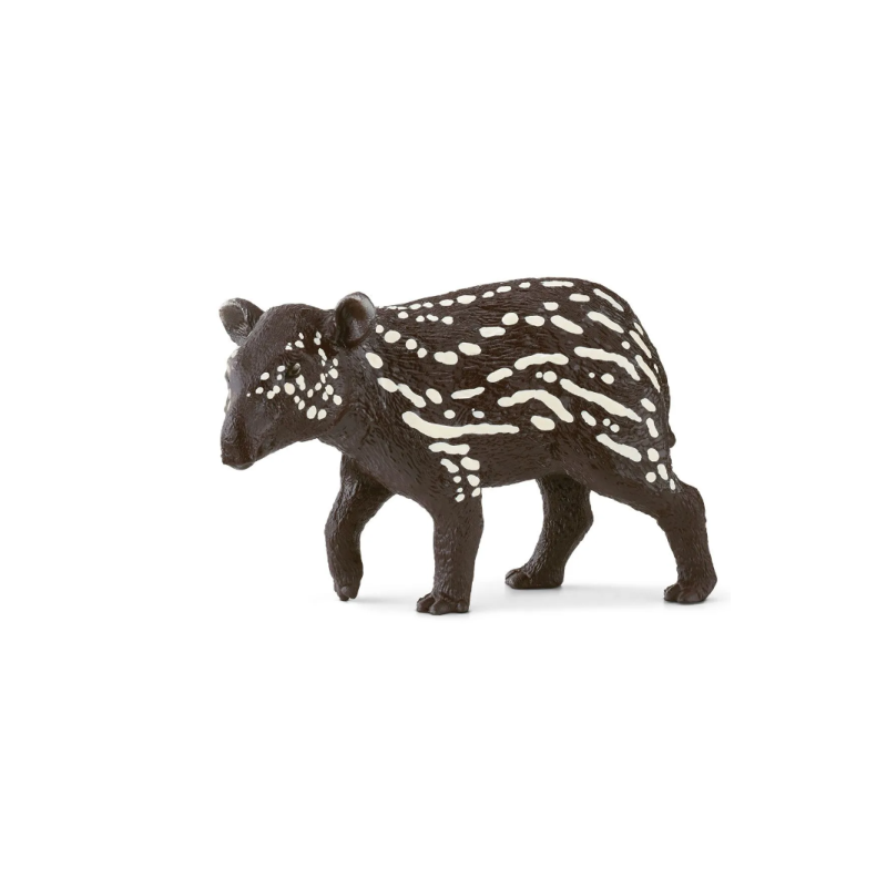 Jeune tapir