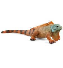 Iguane