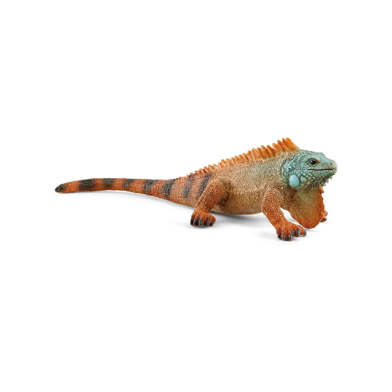 Iguane