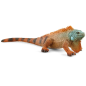 Iguane