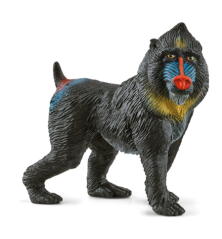 Mandrill