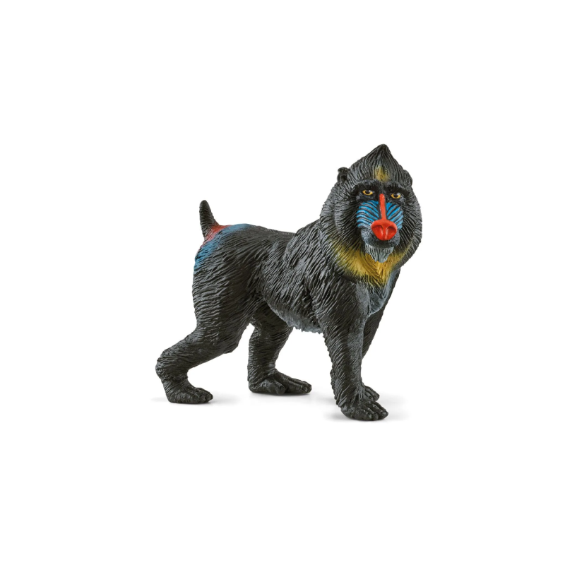 Mandrill