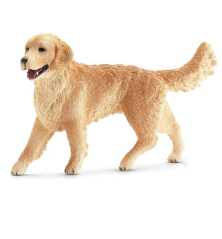 Golden Retriever femelle
