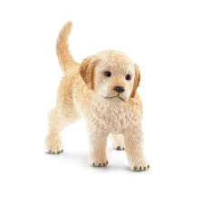 Chiot Golden Retriever