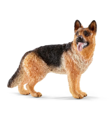 Berger allemand femelle
