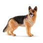 Berger allemand femelle