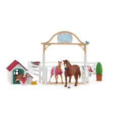 Chevaux invités d’Hannah avec chienne Ruby