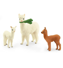 Famille d'Alpagas