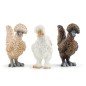 Trio de poules