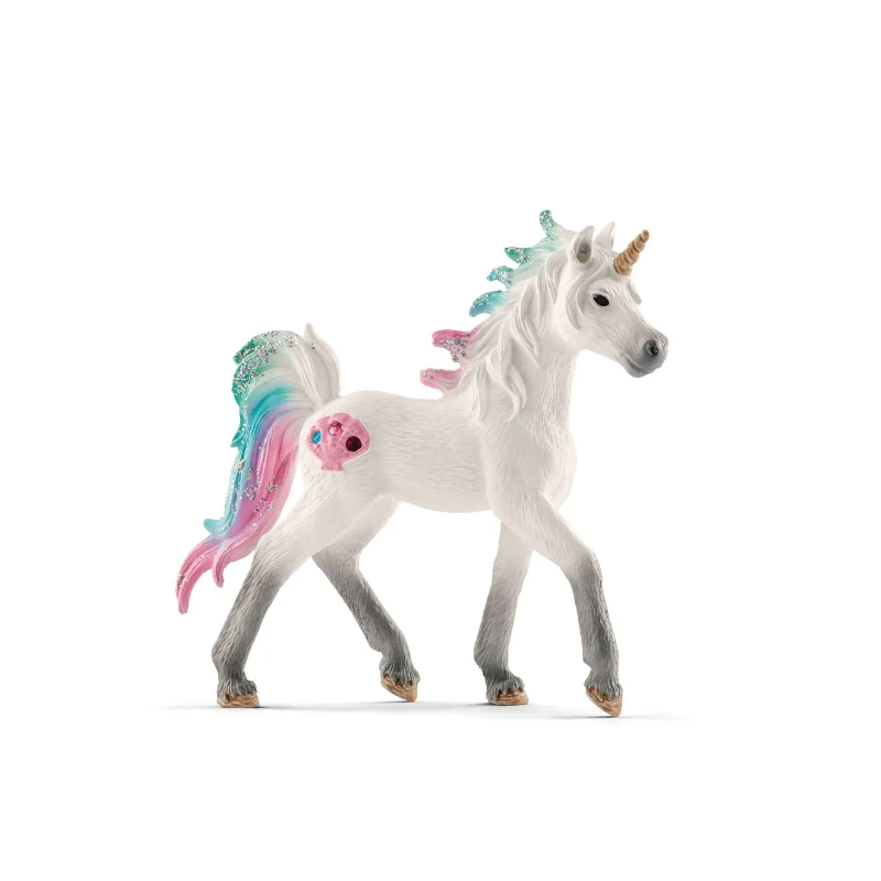 Licorne des mers poulain