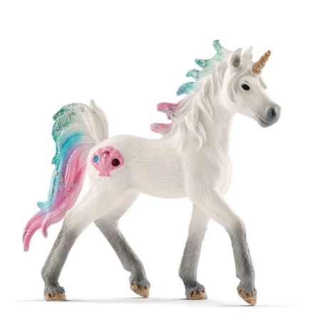 Licorne des mers poulain