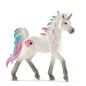 Licorne des mers poulain