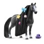 Jument Quarter Horse Beauty Horse