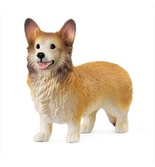 Chien Welsh Corgi