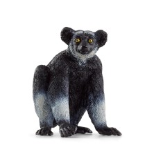 Indri