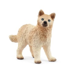 Louveteau Arctique