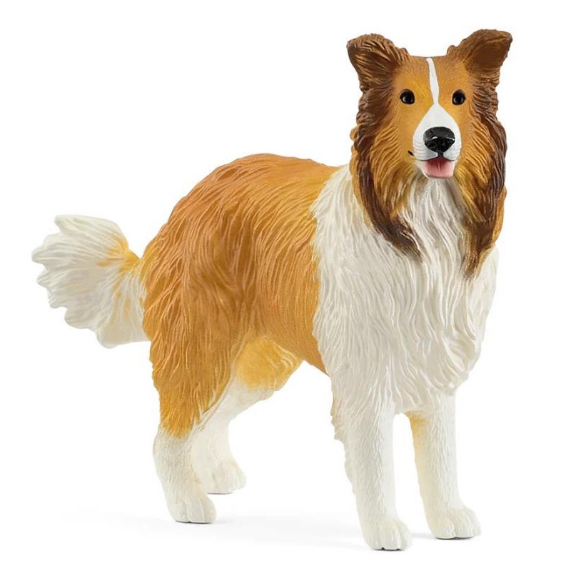 Chien Collie