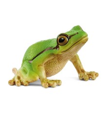 Rainette Verte