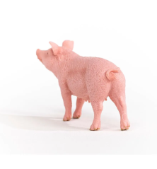 Cochon