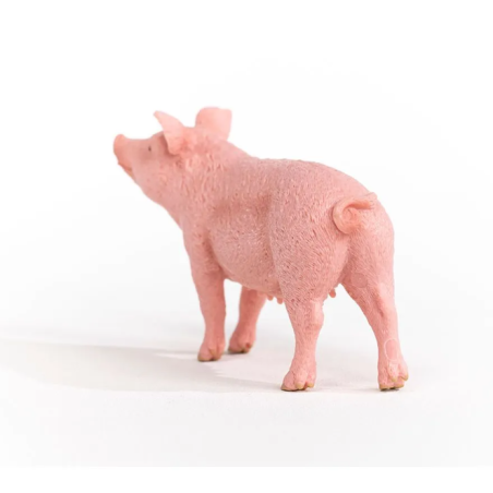 Cochon