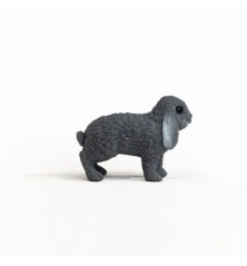 Lapin bélier