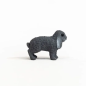 Lapin bélier