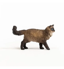 Chat Ragdoll