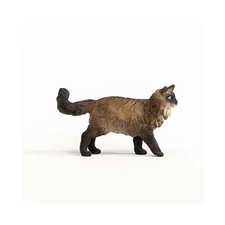 Chat Ragdoll