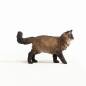 Chat Ragdoll