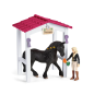 Box pour chevaux Tori & Princess