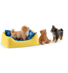 Enclos à chiots