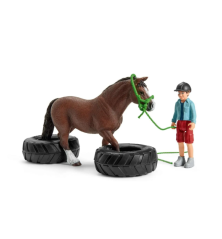 Course d'agility pour poney