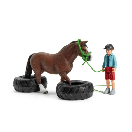 Course d'agility pour poney