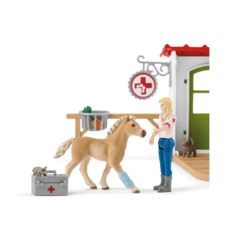 Clinique vétérinaire avec animaux domestiques