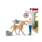 Clinique vétérinaire avec animaux domestiques