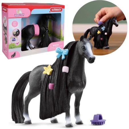 Jument Quarter Horse Beauty Horse